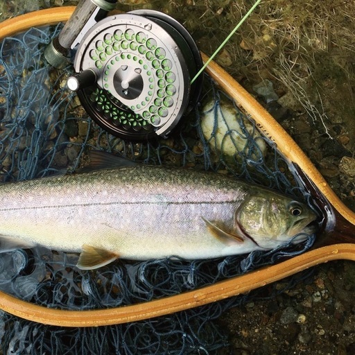 FLY FISHINGビギナー短期スクール (tsurizuki3) 上溝のセミナーのイベント参加者募集・無料掲載の掲示板|ジモティー