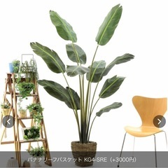 観葉植物(フェイクグリーン)