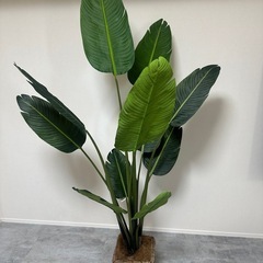 観葉植物(フェイクグリーン)