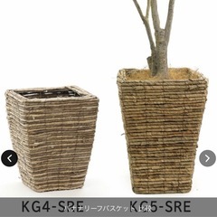 観葉植物(フェイクグリーン)