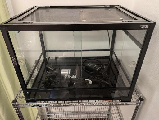 【取引中】爬虫類　飼育セット