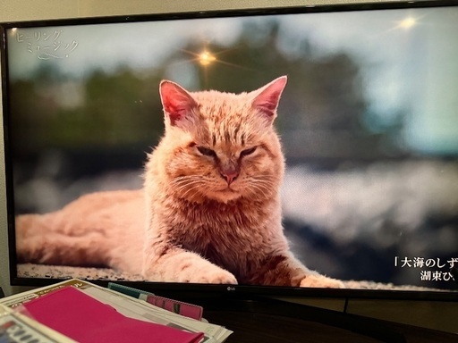 LG電子　LED LCD TV 58,000円(美品)