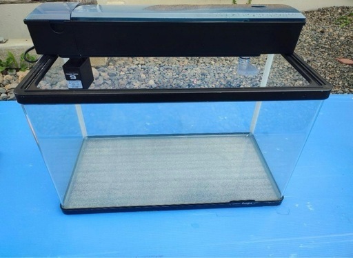 KOTOBUKI　コトブキ　上部フィルター付き　水槽　60cm