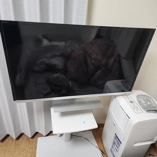 (決まりました)TOSHIBA REGZA 40インチ テレビラック付