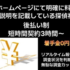 大阪.堺.南大阪　浮気調査が安い　探偵選び複数社見積もり比較が大...