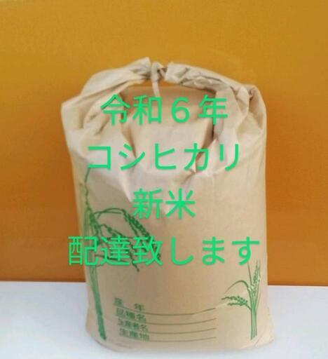 決まりました。コシヒカリ　こしひかり　令和６年 新米　玄米　30kg　配達致します　無農薬の夏野菜プレゼント実施中　リピーターの方は更にプレゼントを用意致します！ No.R6-2