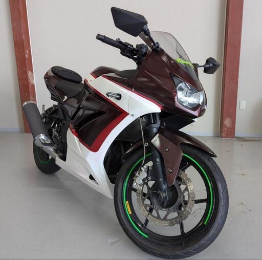 Kawasaki Ninja250R ex250k カワサキ ニンジャ250R