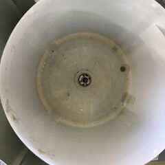 洗濯機の分解クリーニング行っています！配送設置込み　シャープ4.5K洗濯機　2019年製　分解クリーニング済み！！