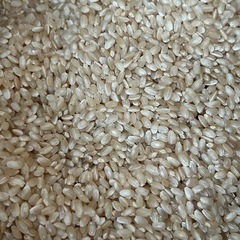 3③お米 30kg 玄米 キヌヒカリ 知り合いの農家にいただきましたので取りに来てくれる方におゆずりしますお譲りします