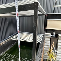 プラ舟500リットル　錦鯉池