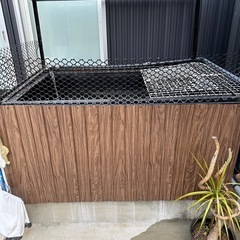 プラ舟500リットル　錦鯉池