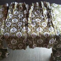 金華山グリーン カーテンセット