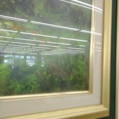 美術品 絵画 TJ7003