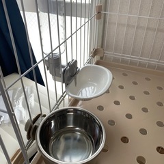 猫ちゃんお迎えセット