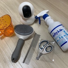 猫ちゃんお迎えセット