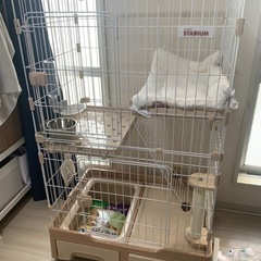 猫ちゃんお迎えセット