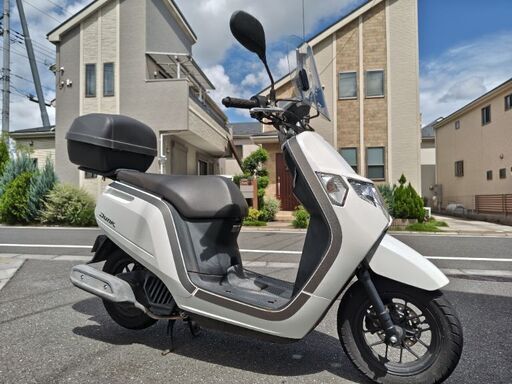 【早い者勝ち】HONDA DUNK【ホンダ ダンク】原付50cc