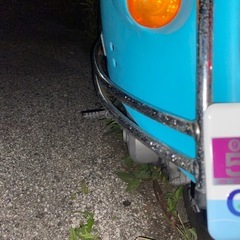 決まりました。　込み　現状渡し