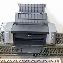 キャノン　ピクサス　プロ１００S　