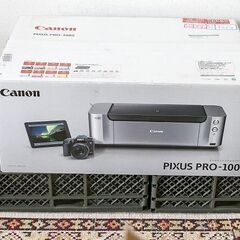 キャノン　ピクサス　プロ１００S　