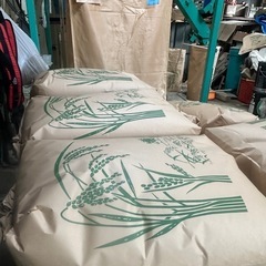 令和6年茨城産コシヒカリ玄米　30kg