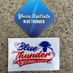 ユッカ　ロストラータ　ブルーサンダー　良品