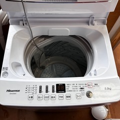ハイセンス　洗濯機