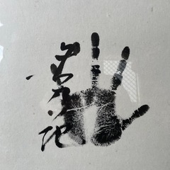 大相撲 力士手形 サイン 若乃花貴乃花曙貴ノ浪 額入り