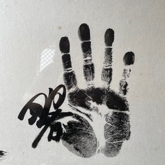 大相撲 力士手形 サイン 若乃花貴乃花曙貴ノ浪 額入り