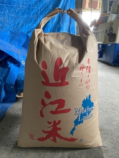 令和6年産 新米 コシヒカリ 30キロ（精米前）
