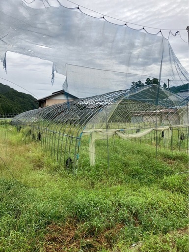 ビニールハウス骨組み