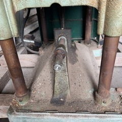 プレート カンナ生活雑貨 家庭用品 ガーデニング