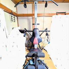 BOWFLEX EXTREME SE ウェイトトレーニング　フィットネス　ジム