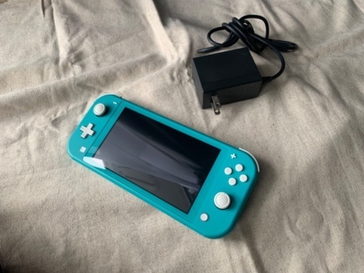 美品ニンテンドーSwitch lite(ポケモンカセット付き)