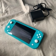 美品ニンテンドーSwitch lite(ポケモンカセット付き)