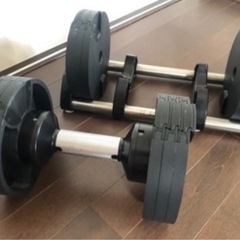 フレックスベル ダンベル 20kg 4kg刻み