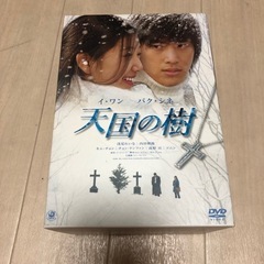 天国の樹　DVD-BOX 正規品　特典DVD付き