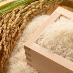 令和6年新米 コシヒカリ 玄米30kg