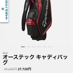 キャディバッグ　テーラーメイド　TM23 9.5型 テーラーメイド TM23 キャディバッグ9.5型
