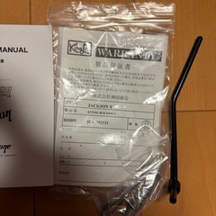 GIBSON FLYING V ハードケースPENICILLINサイン付き
