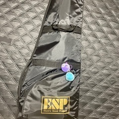 ESP×バンドリ!コラボレーションSNAPPER Tae Mini花園たえ