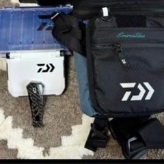 Daiwaエメラルダス　 エギングセット