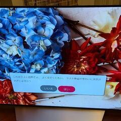 早期引取可能なら値引き可】パネル新品交換済み LG有機ELテレビ OLED55C7P