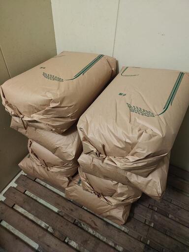 【R6年 新米】香川県産 コシヒカリ 玄米30kg