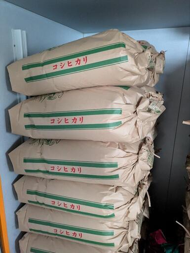 【受付終了】令和6年産新米コシヒカリ玄米３０キロ数量限定販売