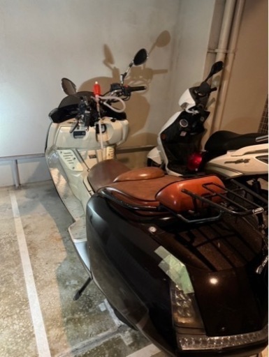 マグザム250