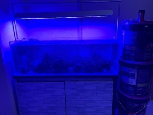 濾過水槽