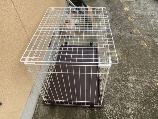 猫のゲージ