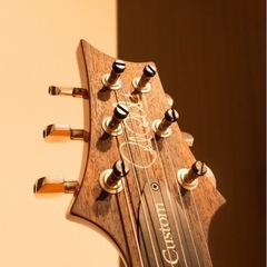 PRS CUSTOM 24 Aquamarine 19年製