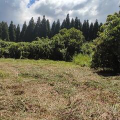 農業用トラクターお貸しください・お譲りください